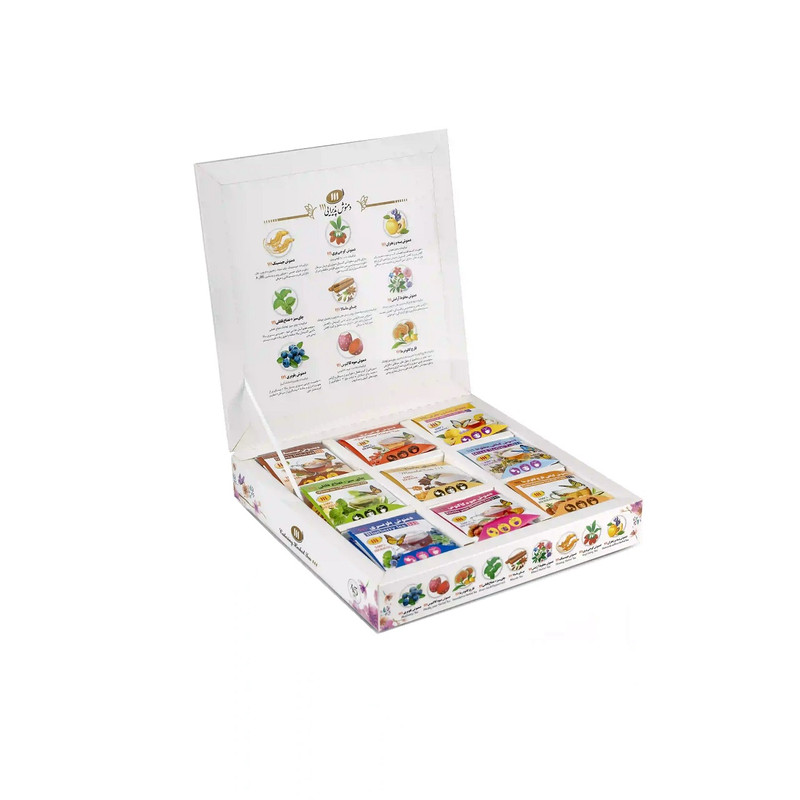 چای و دمنوش پذیرایی 9 طعم 111 بسته 45 عددی